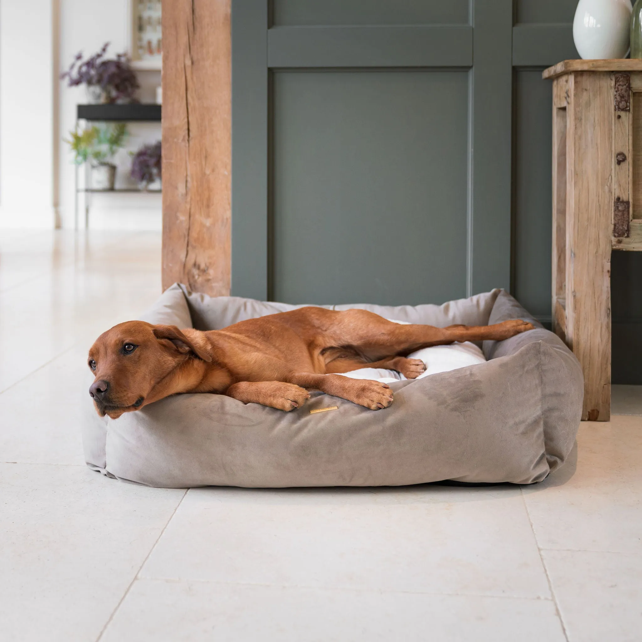 Box Bed With Removable Covers In Clay Velvet by Lords & Labradors