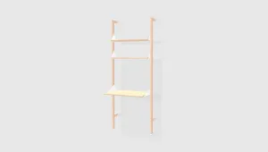 Branch-1 Shelving Unit with Desk