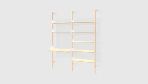 Branch-2 Shelving Unit with Desk