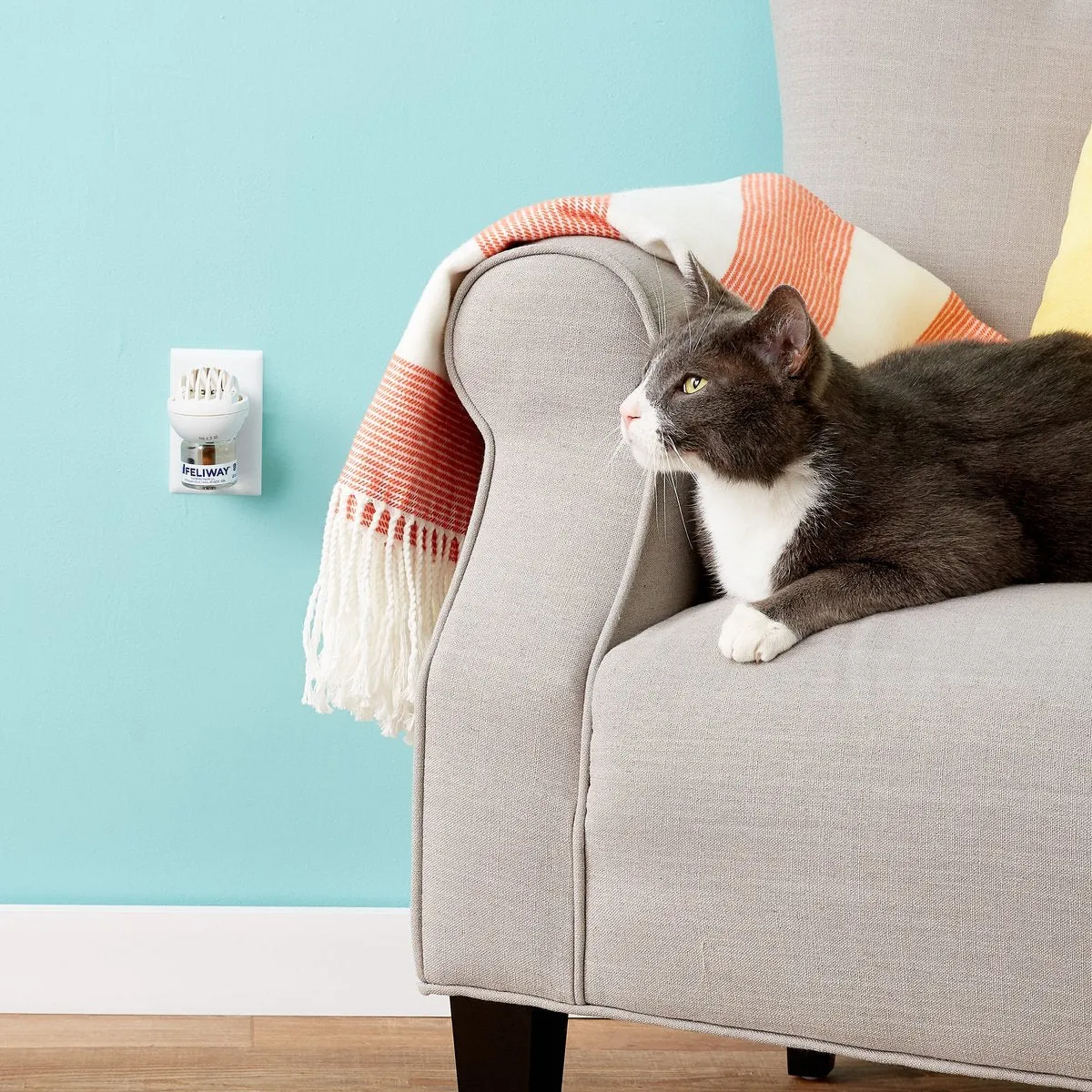 Feliway Classic Plug-in Home Diffuser Starter Kit for Cats