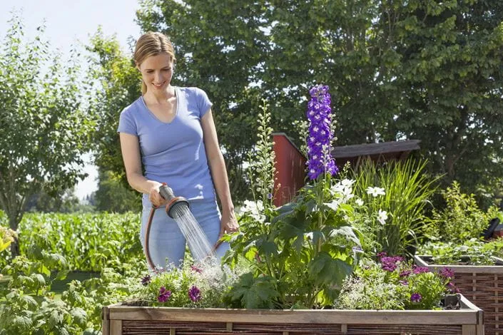 Gardena Comfort Bed Sprayer