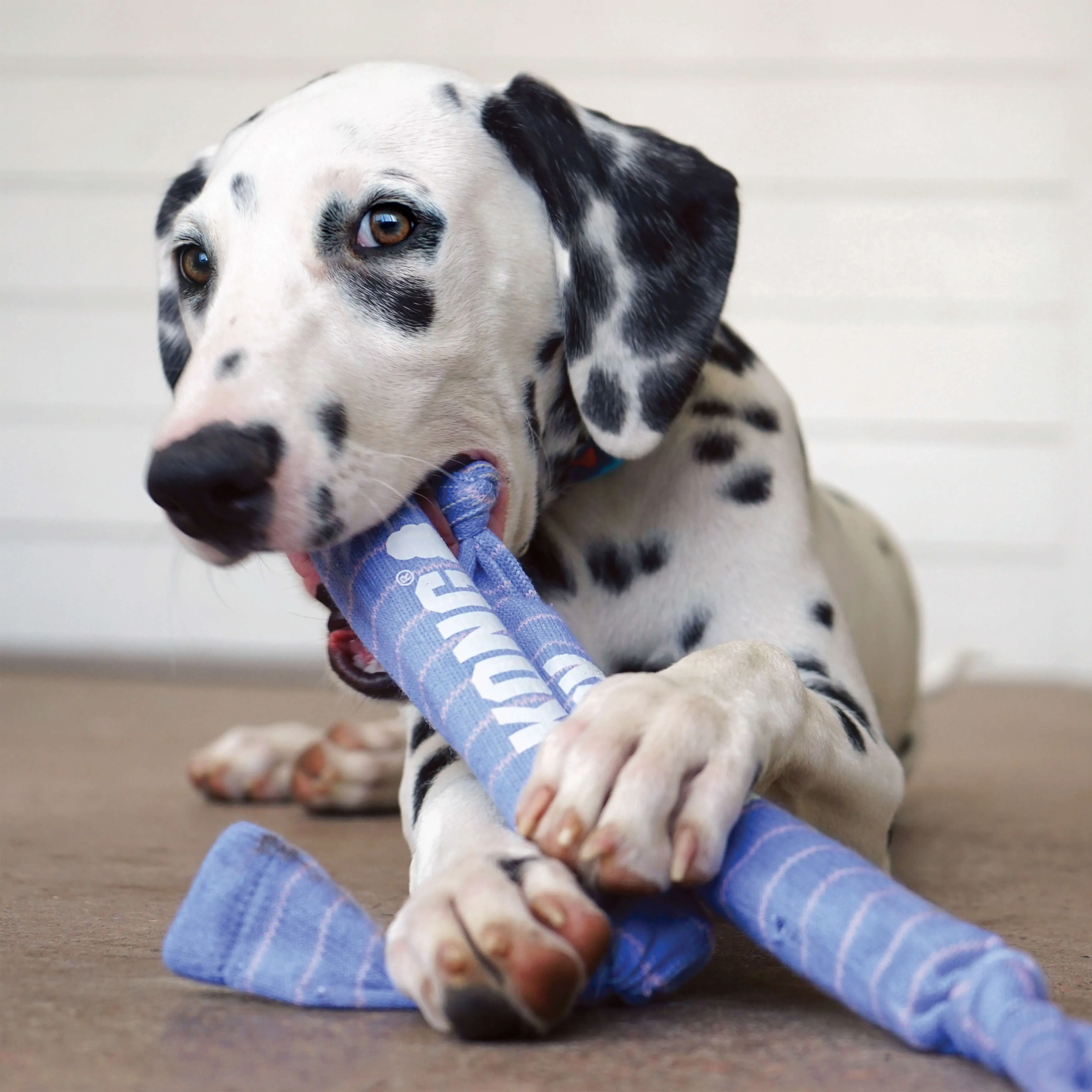 KONG - Signature Crunch Rope Single (For Puppy)