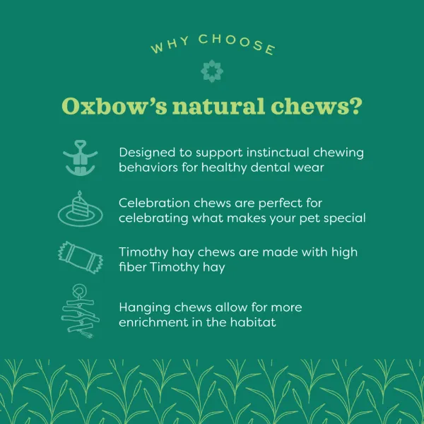Oxbow Enriched Life - Crinkle Barrel with Apple Sticks