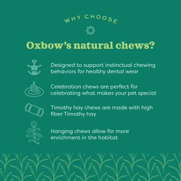 Oxbow Enriched Life - Hanging Mulberry Chew