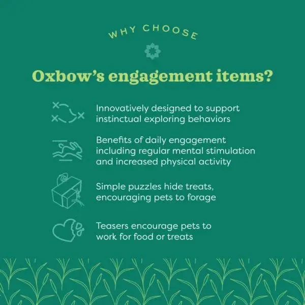 Oxbow Enriched Life - Triangle Tilt'n Treat