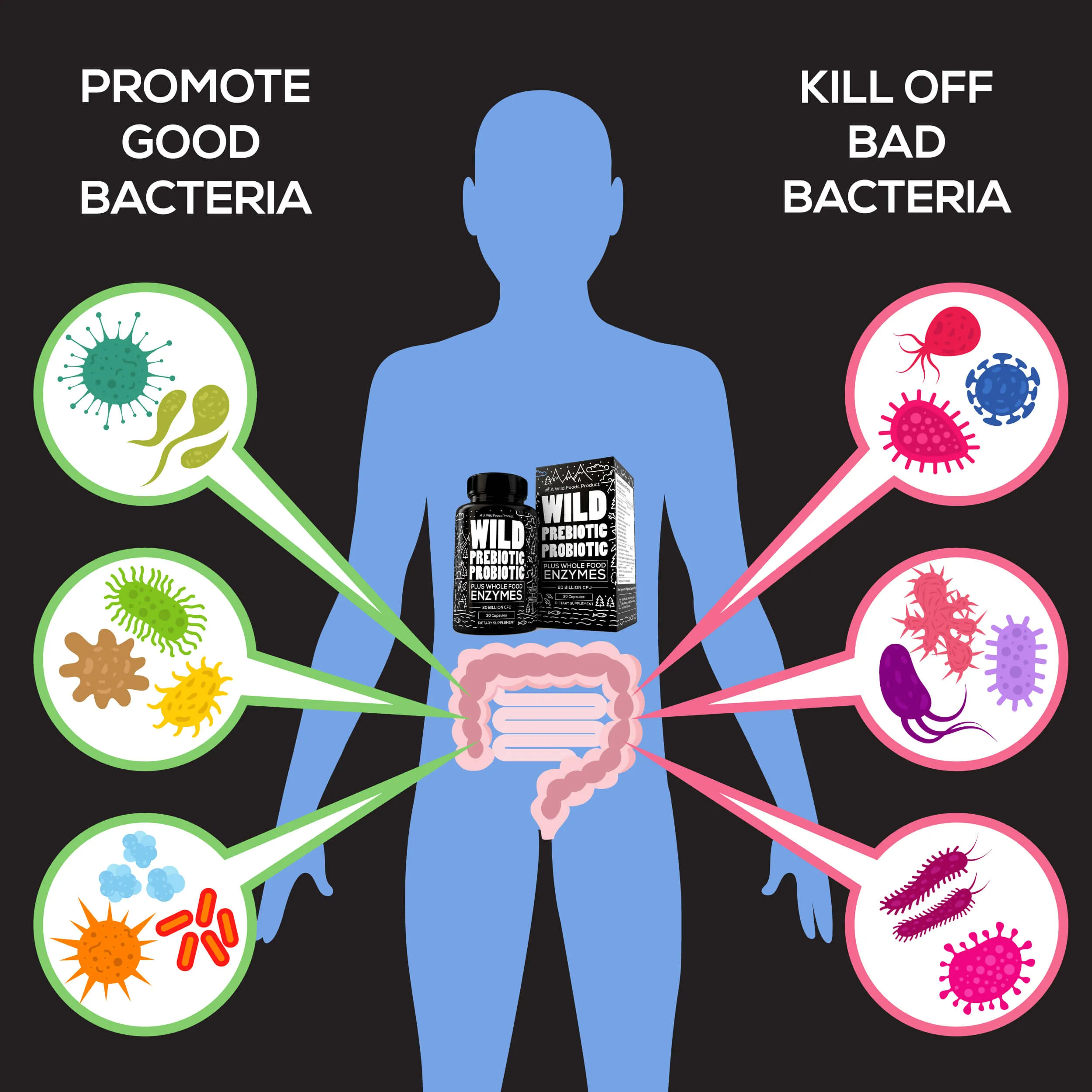 Prebiotics & Probiotics, 30 servings – Gut Health & Digestion Support