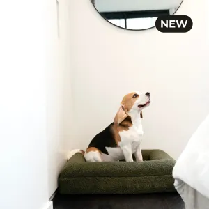Premium Orthopaedic Memory Foam Bed in Deluxe Teddy