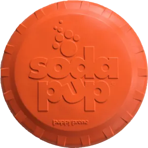Retrieving Toy | Frisbee Orange